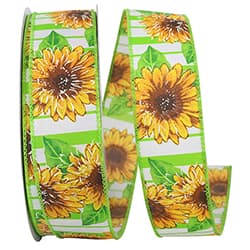 Sunflower Stripe Ribbon