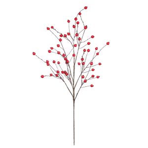 Red Berry Branch