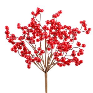 Red Berry Cluster Bush