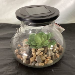 Solar Glass Lantern with Succulent Accent