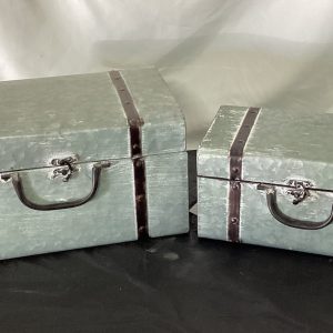 Set of 2 Metal Trunk