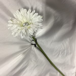 Jumbo Gerber with jewel white