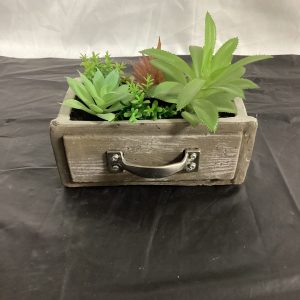 Chest with Succulent Garden