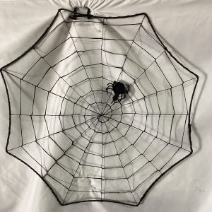 Spider web with spider