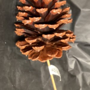 Pine cone weatherproof