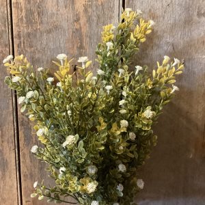 Autumn Greenery with Gypso