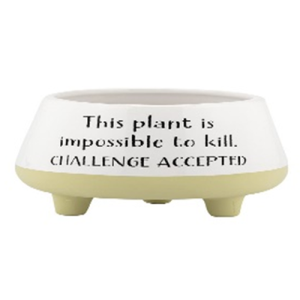 Challenge footed pot (White) (3.25