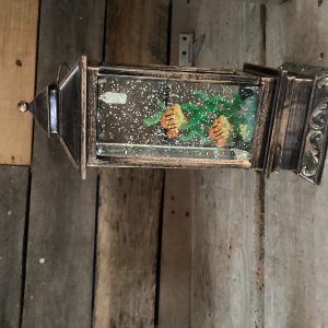 Waterglobe lantern with fish