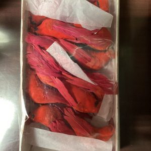 Large Cardinal Picks