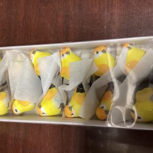 Yellow Birds