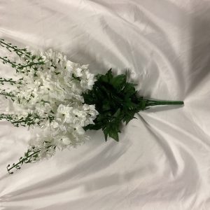 Garden Delphinium Bush